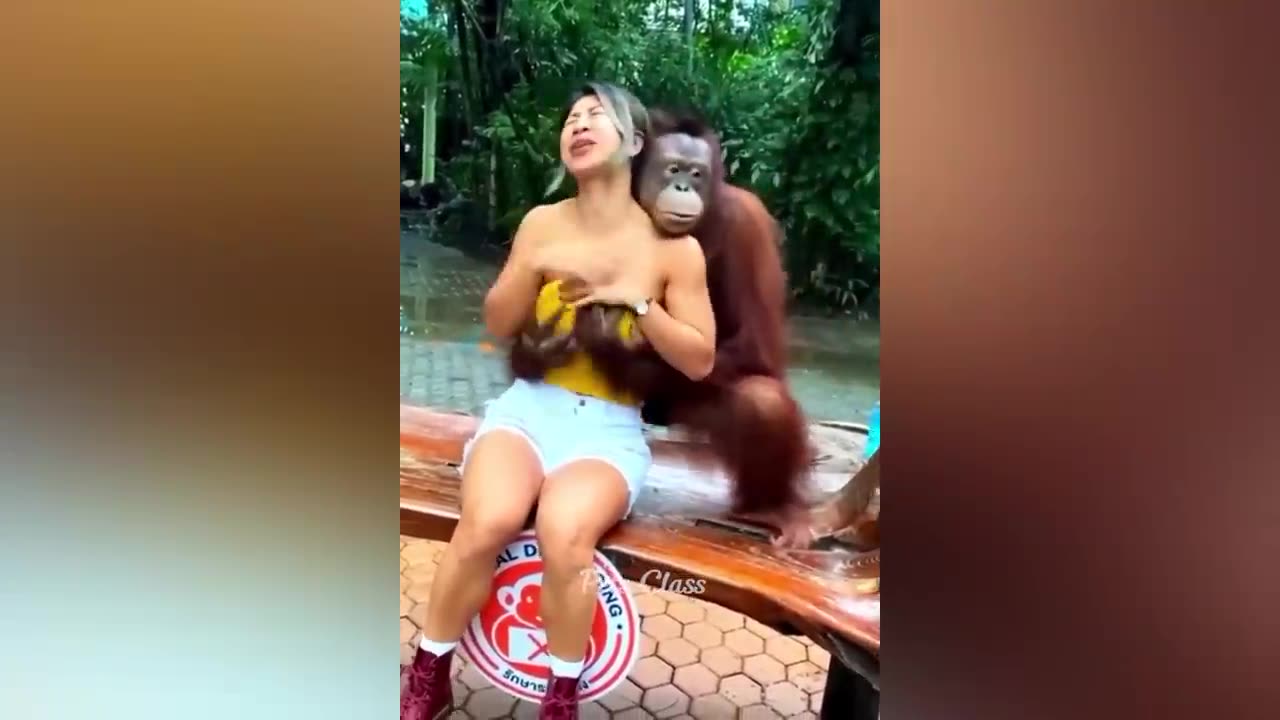 Funniest Animals 2023 Compilations😂