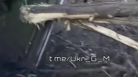 🇷🇺🇺🇦 Destroyed column of armored vehicles of the Armed Forces of Ukraine