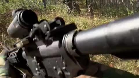 Forest Combat