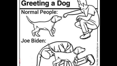 Random Memes 340