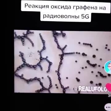 GRAFENO OKSIDAS ŽMOGAUS KRAUJYJE PO 5 G POVEIKIO