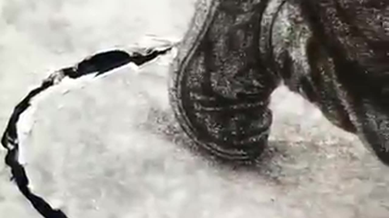 Mind blowing real art skills 😍😍😍