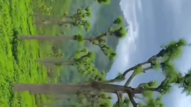Beautiful nature scenery with relaxing music 🎶 #shorts #relaxing #music