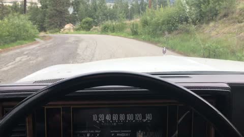 1979 Chevrolet Monte Carlo in the OKANAGAN