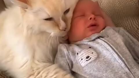 Cat and cute baby