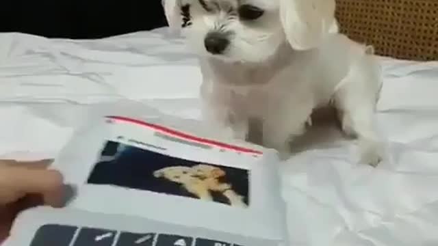 that is success.
