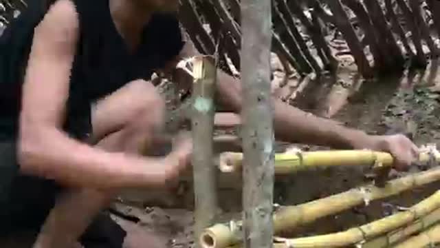 Build shelter in forest , survival challenge