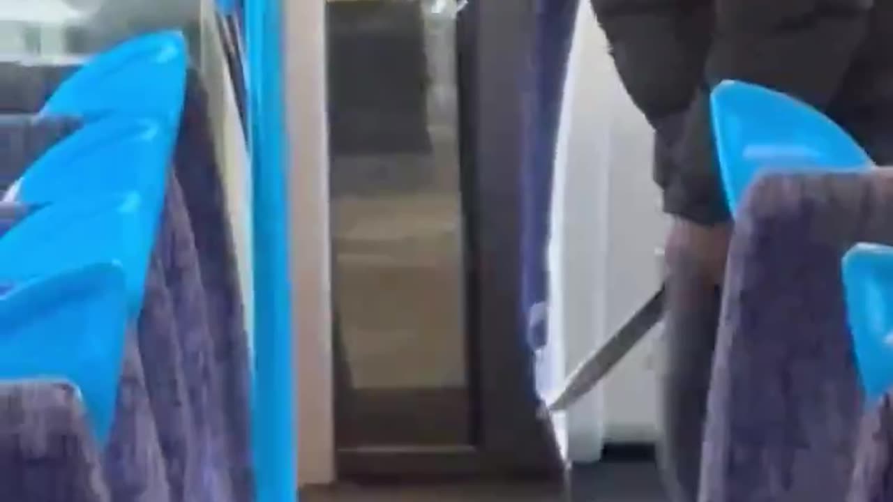 Just a regular train ride in modern London today. Culprints? Migrant niggerz