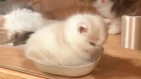 Don’t bother me