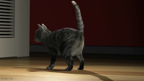 3D cat animation - Student work - animationAteam.com