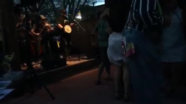 Laney Lou and the Bird Dogs band