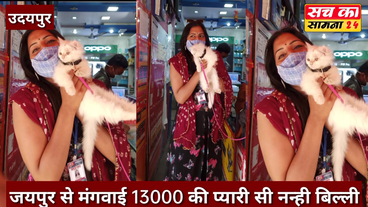 लोगों का आकर्षण बनी नन्ही सी बिल्ली ।। उदयपुर ।।