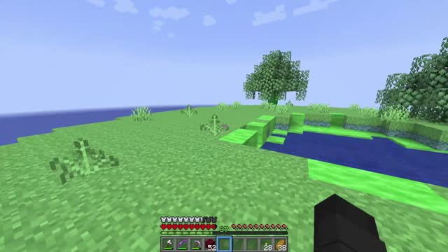 MineCraft surving 100 days