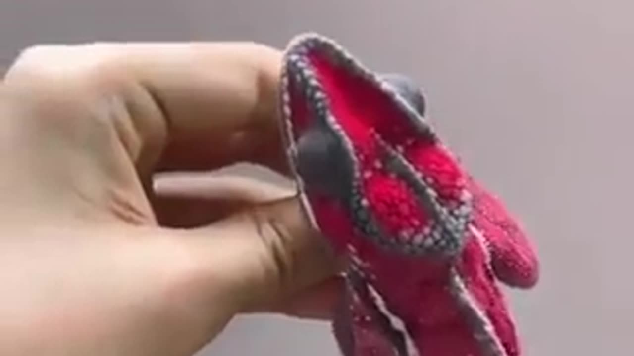 The legendary climbing story of the chameleon