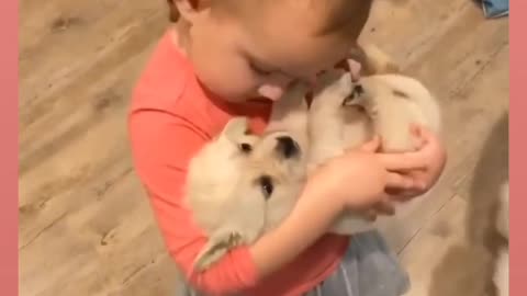 Kids dog masti