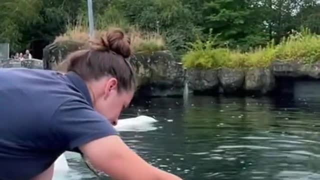 It’s a voluntary health check