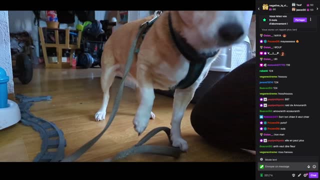 2022-12-09 (1bis.3) - Un raid ou deux et puis s'en va - Twitch Decheterie (version avec chat)