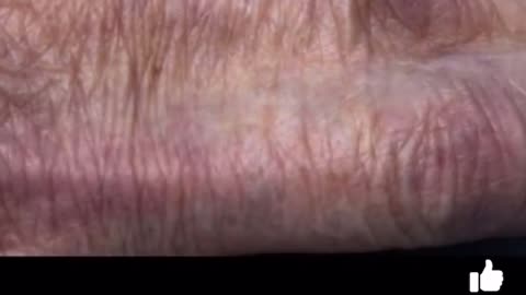 DO HUMANS HAVE REPTILIAN DNA?