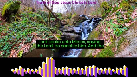 The book of Leviticus Chapter 21 verse 1 to 24. King James Version