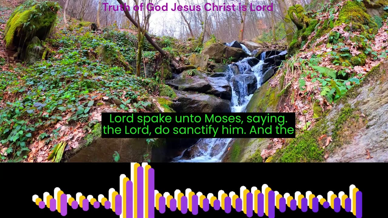 The book of Leviticus Chapter 21 verse 1 to 24. King James Version