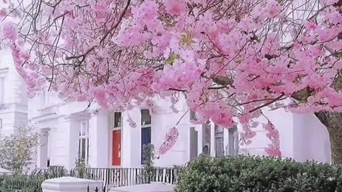 Memories of spring in London, do you love?