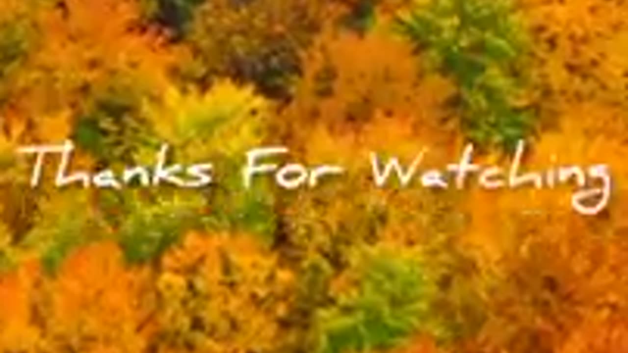 Beautiful nature video
