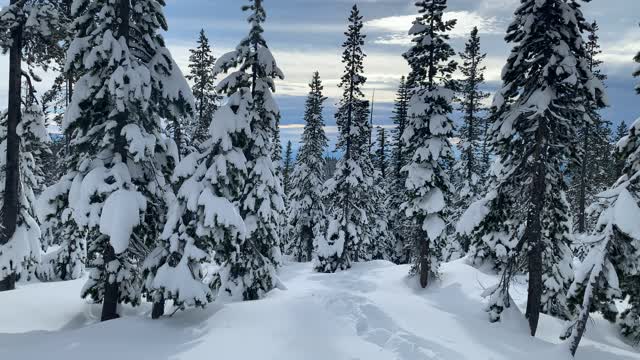 I’m the Only One Here! – Central Oregon – Vista Butte Sno-Park – 4K