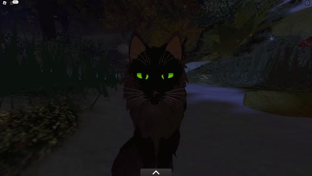 Free Tom Morph in Warrior Cats Roblox