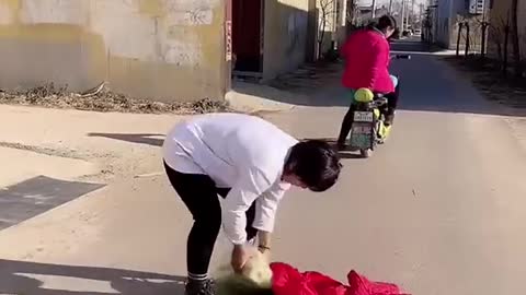 Best Funny tiktok videos