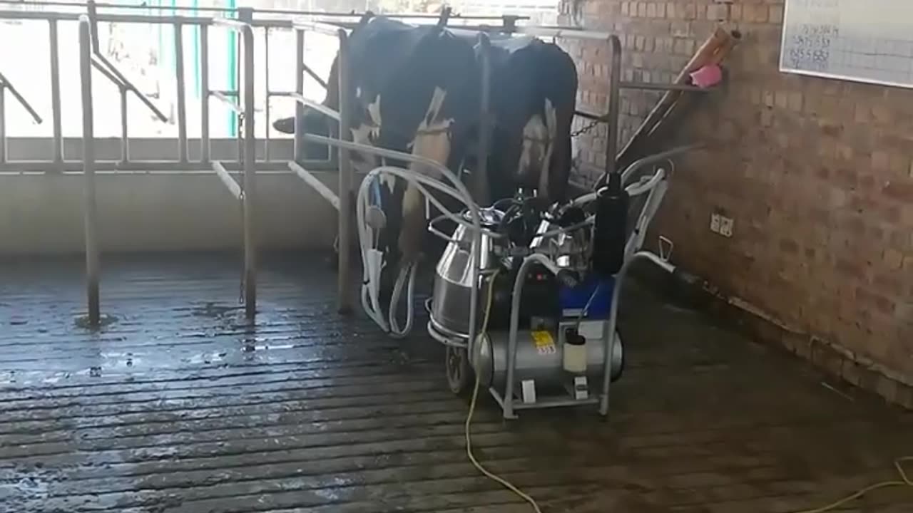 Milking machine