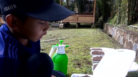 Education farm for kids