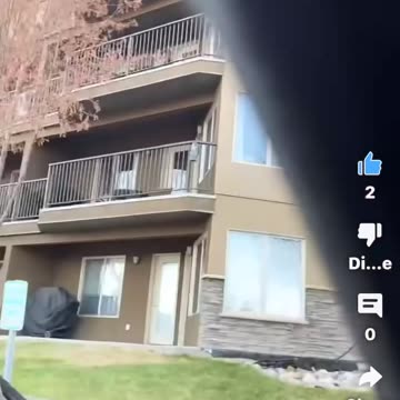 Owl statue on the balcony to bring good luck