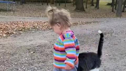 The little girl gives the cat a kiss