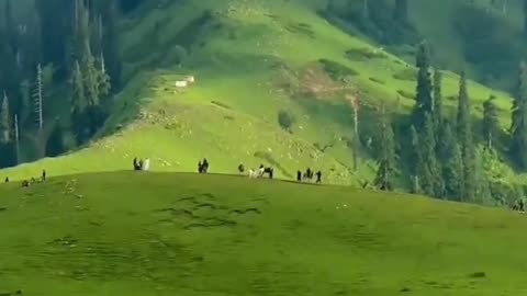 A Journey Through Majestic Mountains