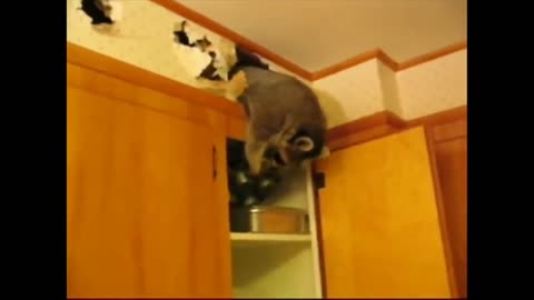 😂EPIC FAILS