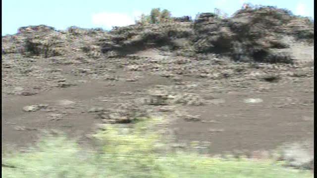 2003 Grandchildren in Idaho - Part 2 of 2