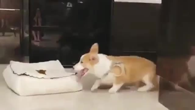 Instead of being disappointed about where you are, Think optimistically about where you are going