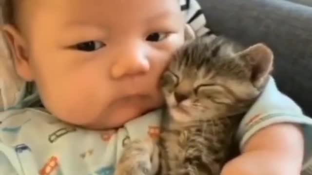 Cute baby and cat see friendship