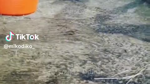 fkrj