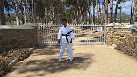 A53 - Mickeysia Jantjies - Green - Pinan Nidan