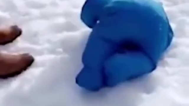 Funny Baby Video That Will Make You Laugh
