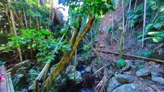 Mt Tamborine Skywalk Impossible Drone Shot