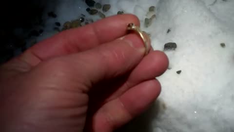 Season 2 , 159th hunt of 2012 , finding 10K at -22 F below zero