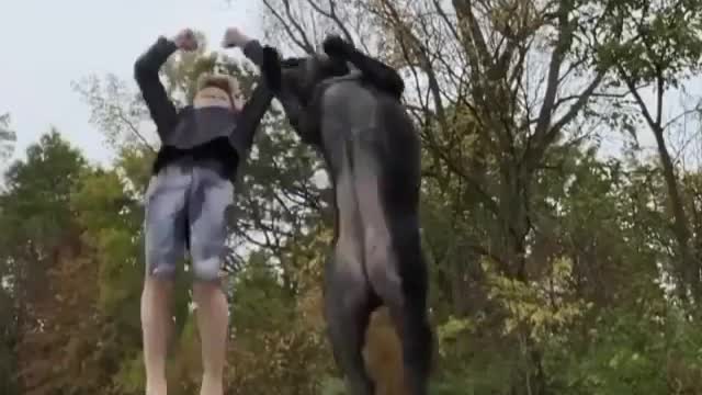 Boy and his dog doing Parkour back-flip at same time