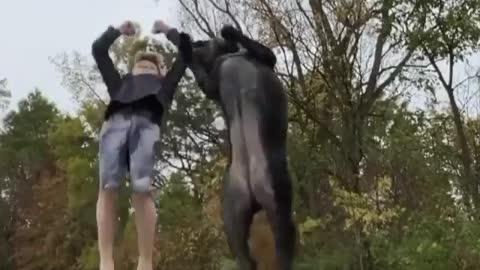 Boy and his dog doing Parkour back-flip at same time