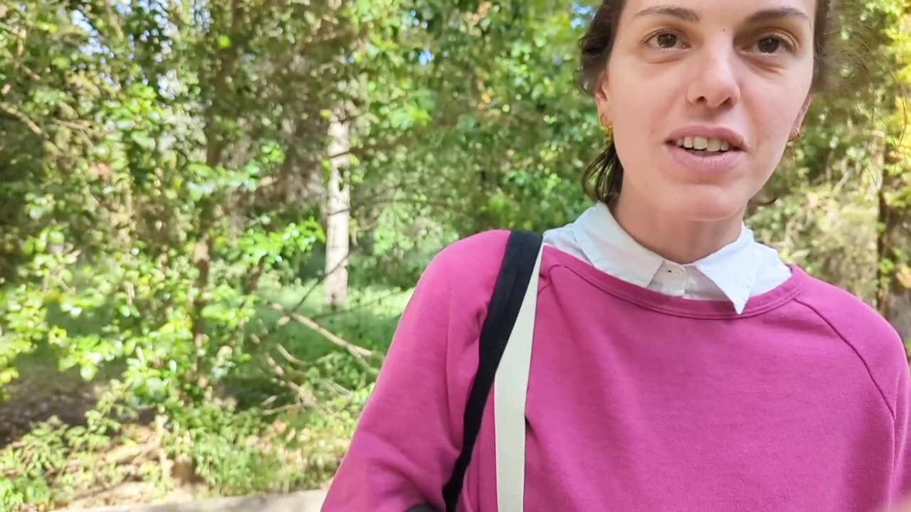 2023-04-25 (5) - partenariat planétarium - Twitch Triskelina