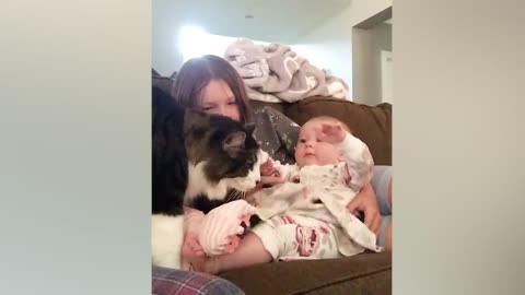 Cutest Babies and Cats Are Best Friend - Cute Baby Videos