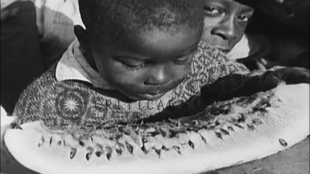 🍉🍉Black Kids Eating Watermelon Is NOT Racist! 🍉🍉