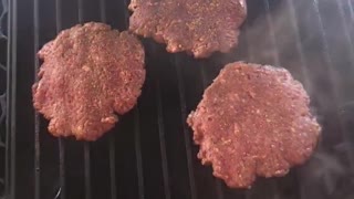 Recteq Bullseye Burgers