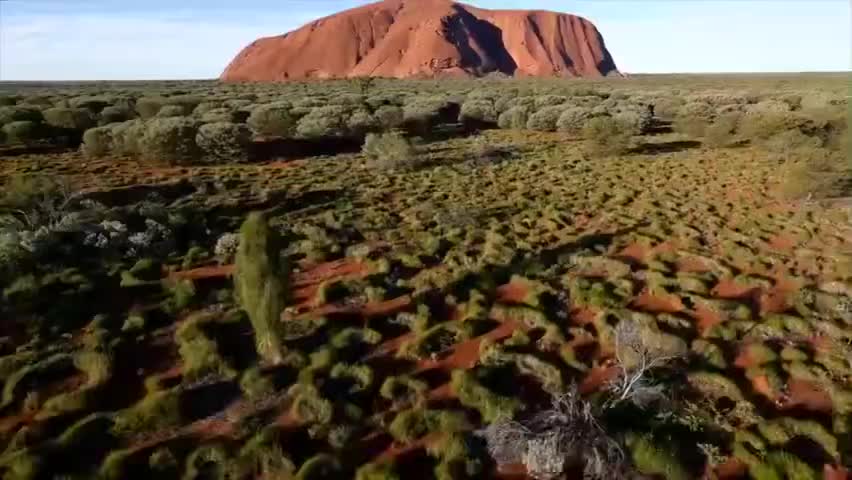 Australia π¦πΊ the lucky country πΆβπ«οΈπ€π€π·